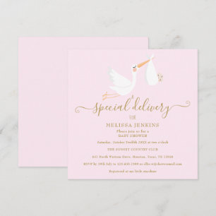 Convite Chá de Bebê de Entrega Especial da Cegonha / Sprin