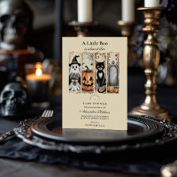 Chá de Bebê Gótico de Halloween com Gato Fantasma