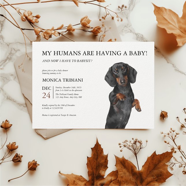 Convite Chá de fraldas de Cachorro Mínimo de Dachshund (Dachshund Baby Shower Invitation)