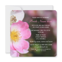 chá de panela de flores rosa-rosa bonito