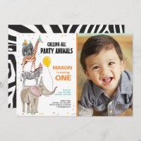 Chamando todos os animais de festa Zoo Wild Boy Bi