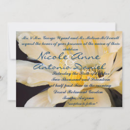 Convite Charlemagne Echinopsis na floração