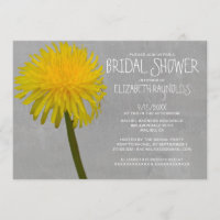 Chás de panela do dente-de-leão