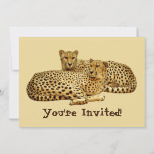 Convite Cheetahs