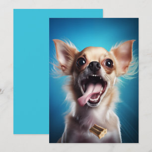 Convite Chihuahua Em Ação