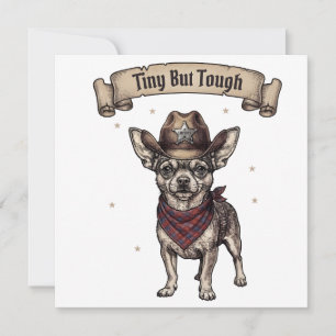 Convite chihuahua, minúsculo mas resistente, cão vaqueiro,