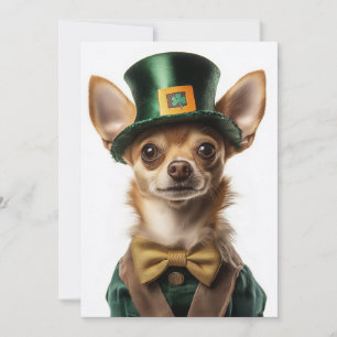 Convite Chihuahua vestiu Rua de Leprechaun. Dia de Patrick