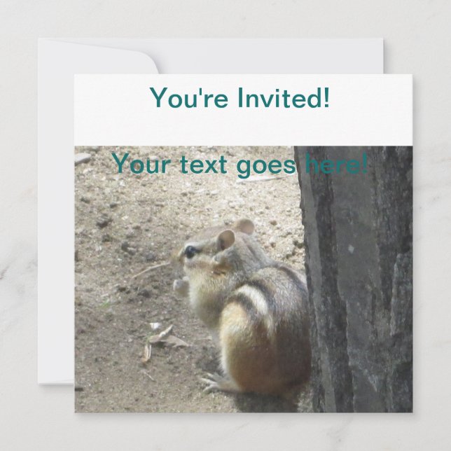 Convite Chipmunk Midland Ontario (Frente)