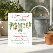 Chuva de Bebê Farmhouse Little Sprout