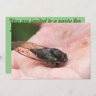 Convite Cicada