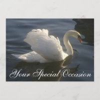 Convite Cisne Branco