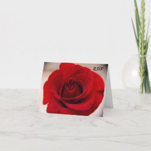 Convite Close Up Red Rose RSVP