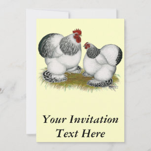 Convite Cochins: Bantams Columbianos