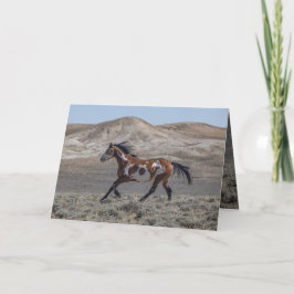 Convite Cochise Runs Greeting Card