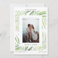 COCO Watercolor Palm Leaf Salvar Data