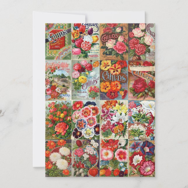 Convite Colagem de Jardim de Pacotes de Sementes de Flor V (Frente)