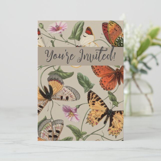 Convite Coleção de Desenhos de Mariposa Borboleta Natureza (Em pé/Frente)
