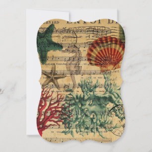 Convite conchas marinhas costeiras tropicais