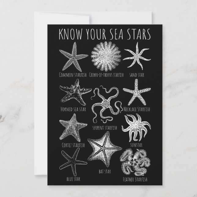 Convite Conheça Suas Estrelas do Mar - Grupos de Starfish (Frente)