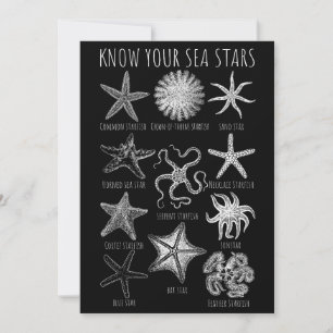 Convite Conheça Suas Estrelas do Mar - Grupos de Starfish