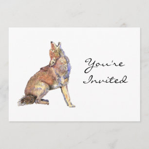 Convite Convite, Convite, Coyote Animal, Selvagem