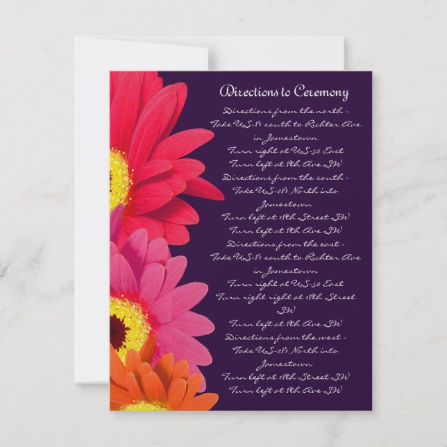 Convite Coral Fuchsia EggPlant Gerber Daisy Direction Card (Frente)