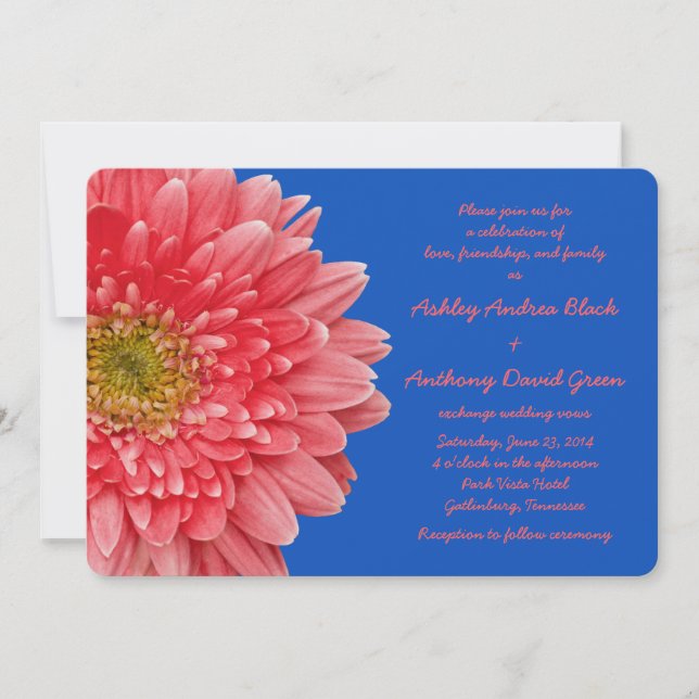 Convite Coral Gerbera Daisy Royal Blue Weditation Invitati (Frente)