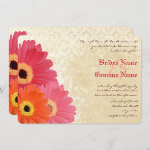 Convite Coral Orange Pink Gerber Daisy Weditation