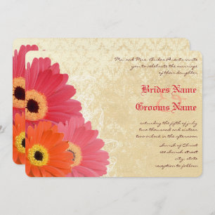 Convite Coral Orange Pink Gerber Daisy Weditation