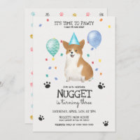 Corgi Deixa Cachorro Pawty Convidar Azul