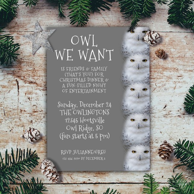 Convite Coruja Engraçada Que Queremos para o Natal... Snow (Funny Owl We Want for Christmas ... Snowy Owls Invitation Flat Card Cover Photo.)