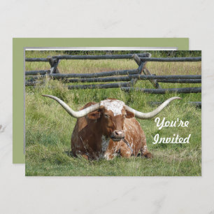 Convite Cow Texas Longhorn Photo Birthday