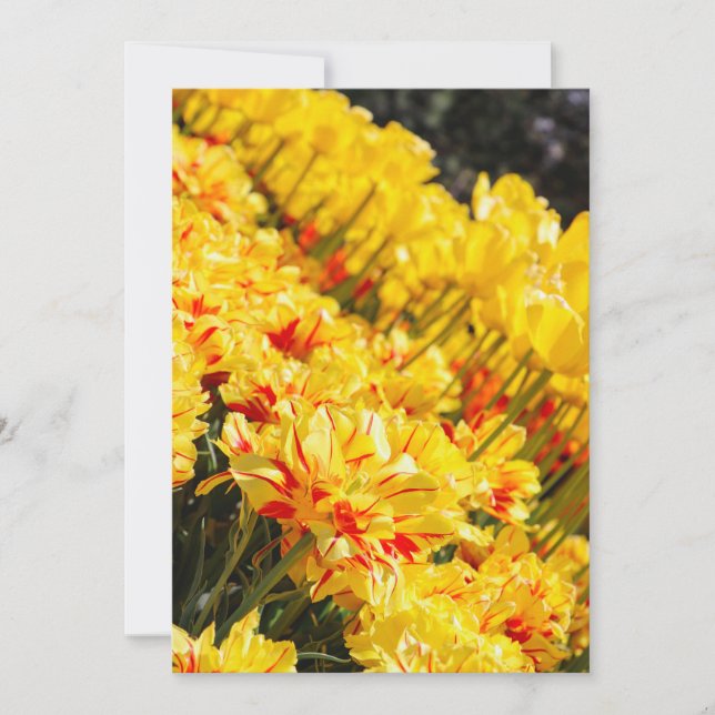 Convite Crescendo em Dourado (Frente)