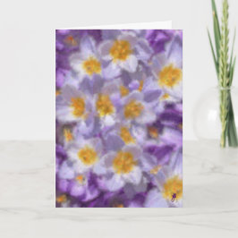 Convite Crocus Watercolor