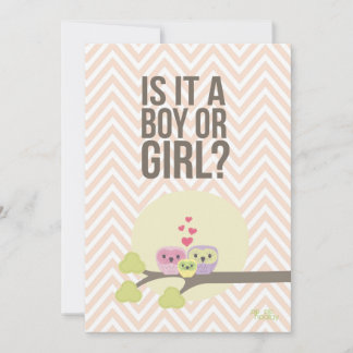Convite Cute Owl Family Baby Gender (Sexo Do Bebê Da Famíl