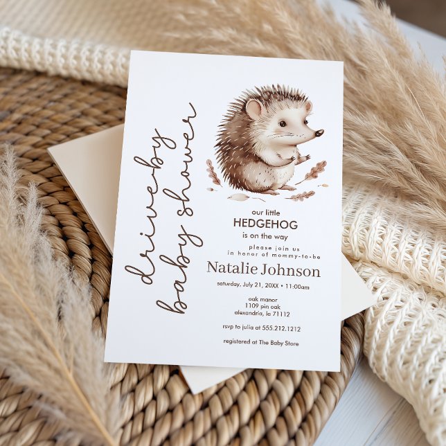 Convite Cute Sweet Little Hedgehog Drive By Baby Shower (Criador carregado)