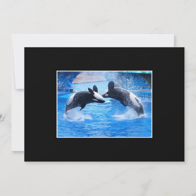 Convite da foto da baleia (Frente)