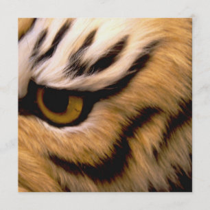 Convite da foto do tigre