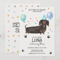 Dachshund Deixa Cachorro Pawty Voar Azul