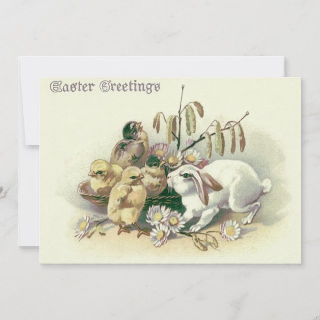 Convite Daisy do Pintinho Cony da Páscoa (Frente)