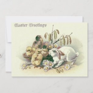 Convite Daisy do Pintinho Cony da Páscoa