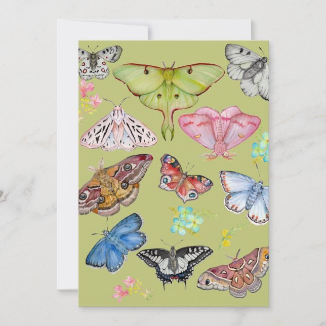 Convite Dança de Borboleta com Aquarela Suave (Frente)