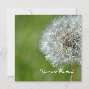Convite Dandelion Flower Birthday