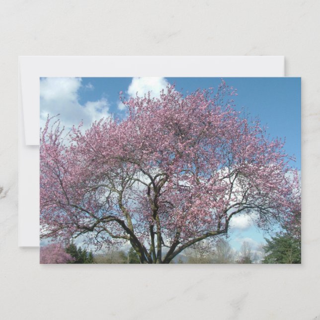 convite de aniversário (Frente)