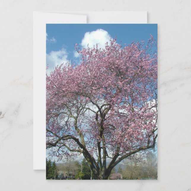 convite de aniversário árvore de cerejeira florida (Frente)