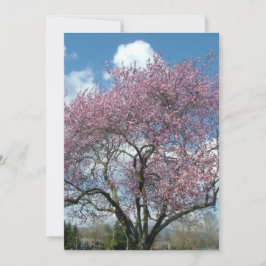 convite de aniversário árvore de cerejeira florida