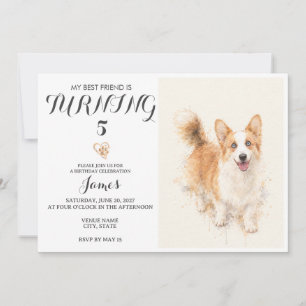 Convite de Aniversário de Animal de Estimação em A