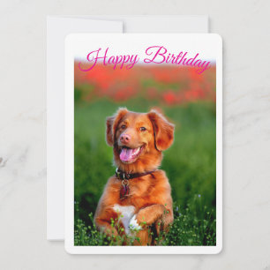 Convite de Aniversário de Cachorrinho Fofinho
