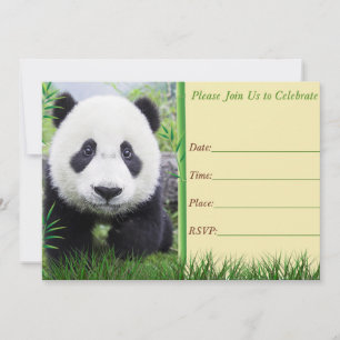 Convite de aniversário de Panda