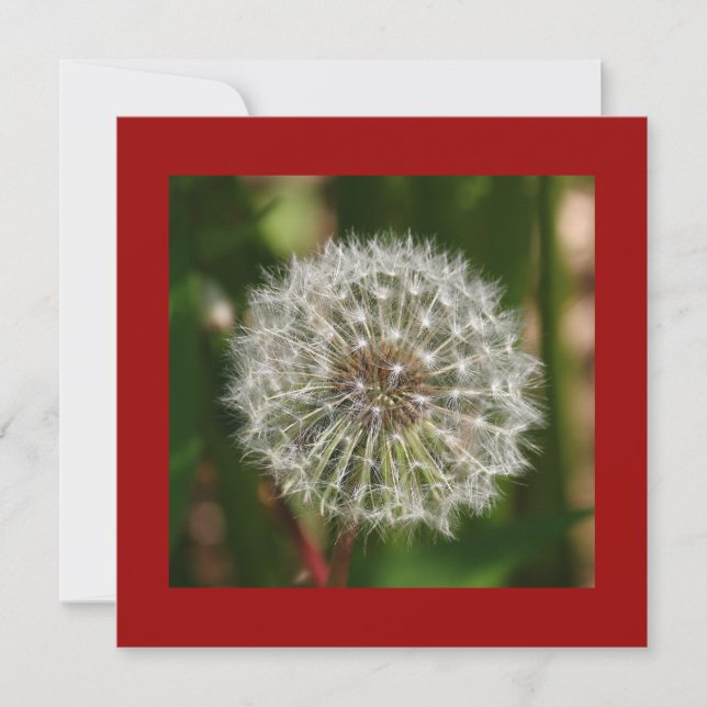 Convite de aniversário de Verão (Frente)